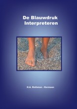 De Blauwdruk Interpreteren