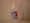 Podilon huiddesinfectie 10ml